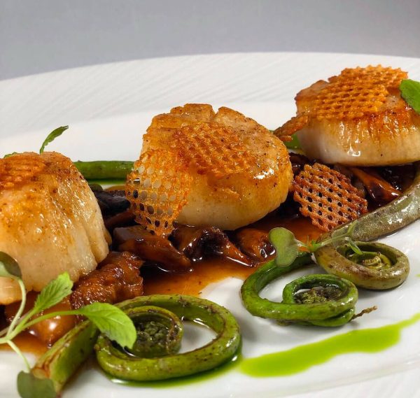 Seared scallops with sautéed fiddlehead ferns and green sauce.